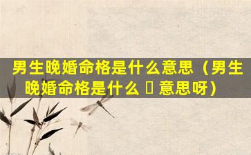 男生晚婚命格是什么意思（男生晚婚命格是什么 ☘ 意思呀）